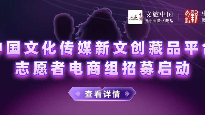 代运营品牌代理加盟：揭秘背后的商业逻辑与风险